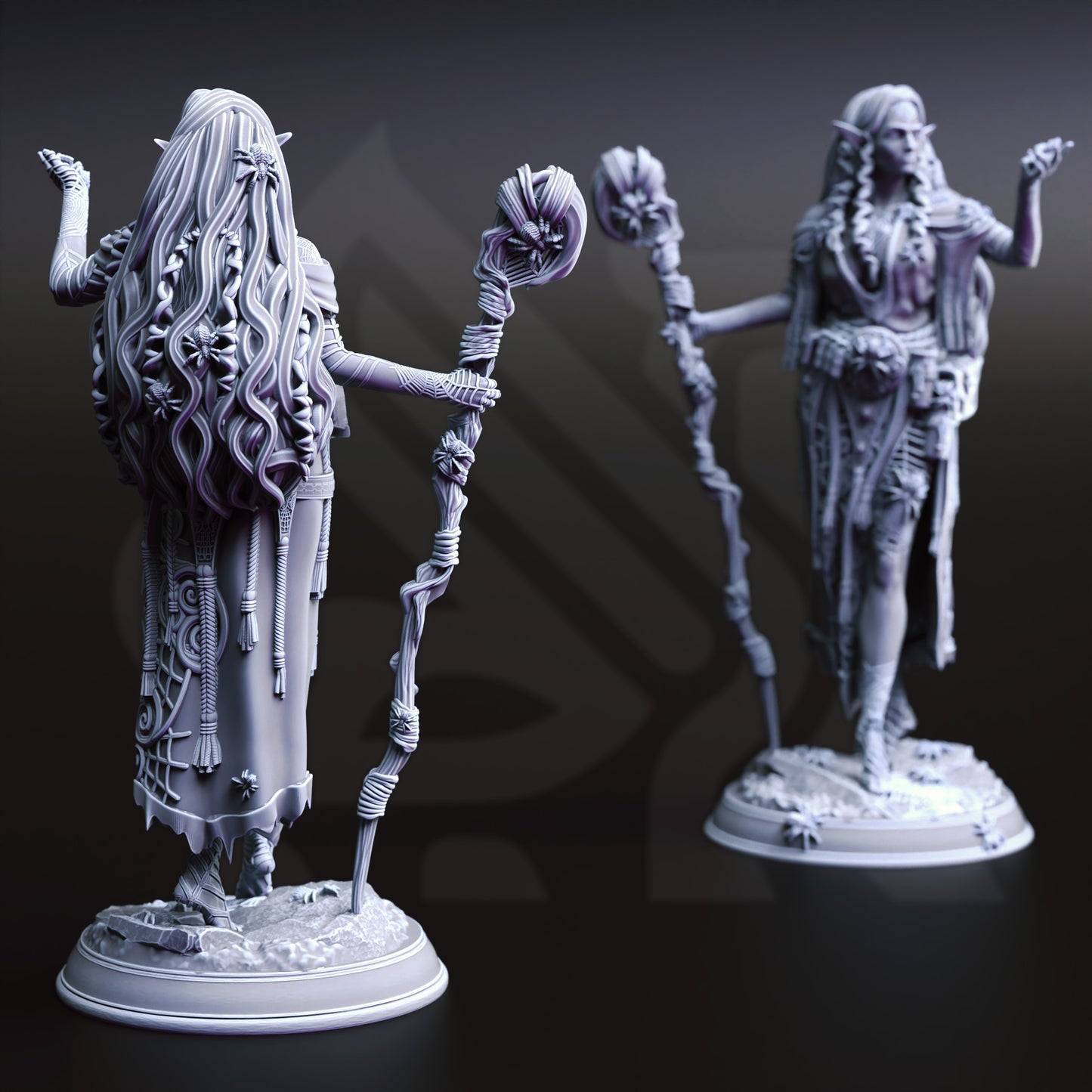Irinia the Drow Spidermancer