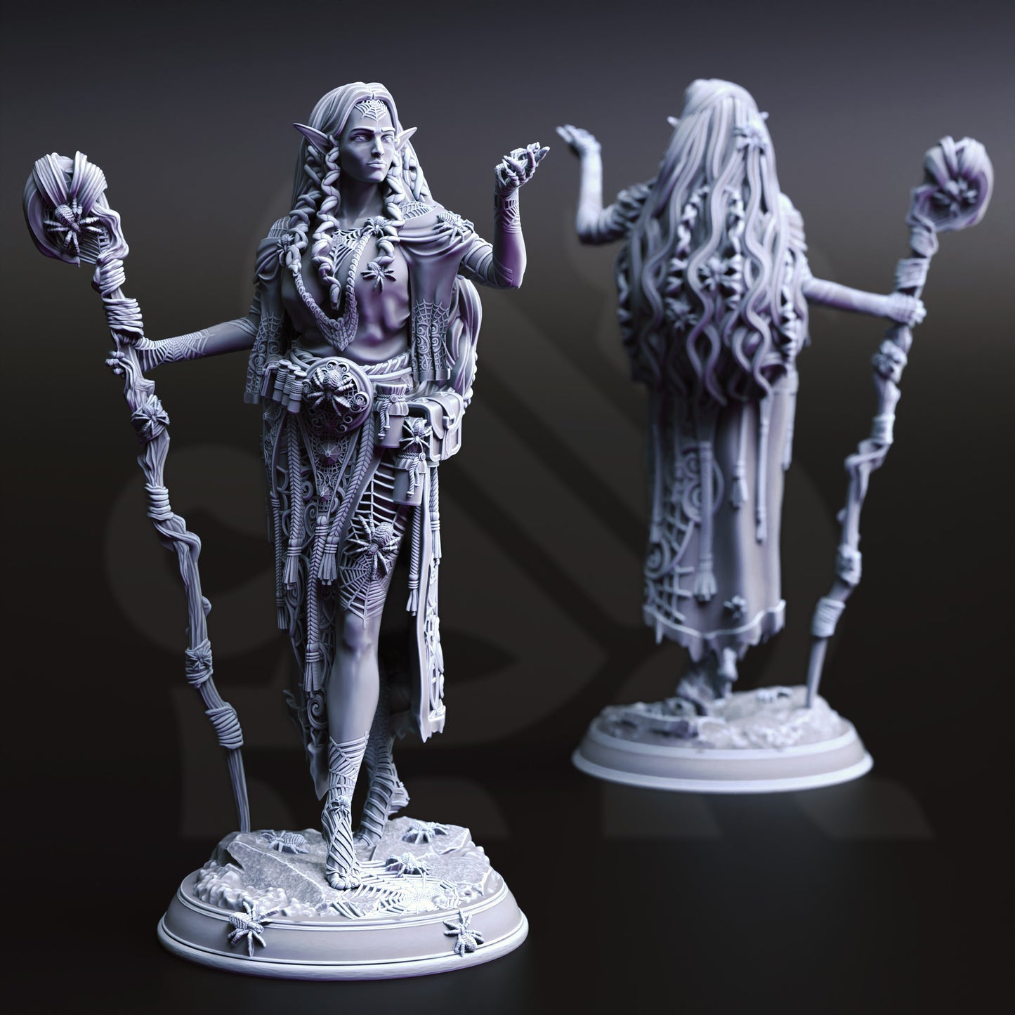Irinia the Drow Spidermancer