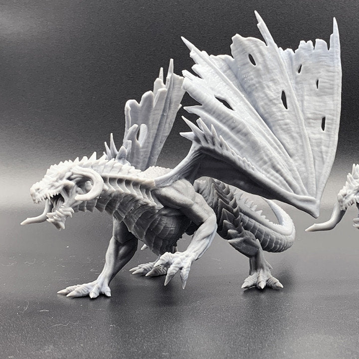 Black Dragon