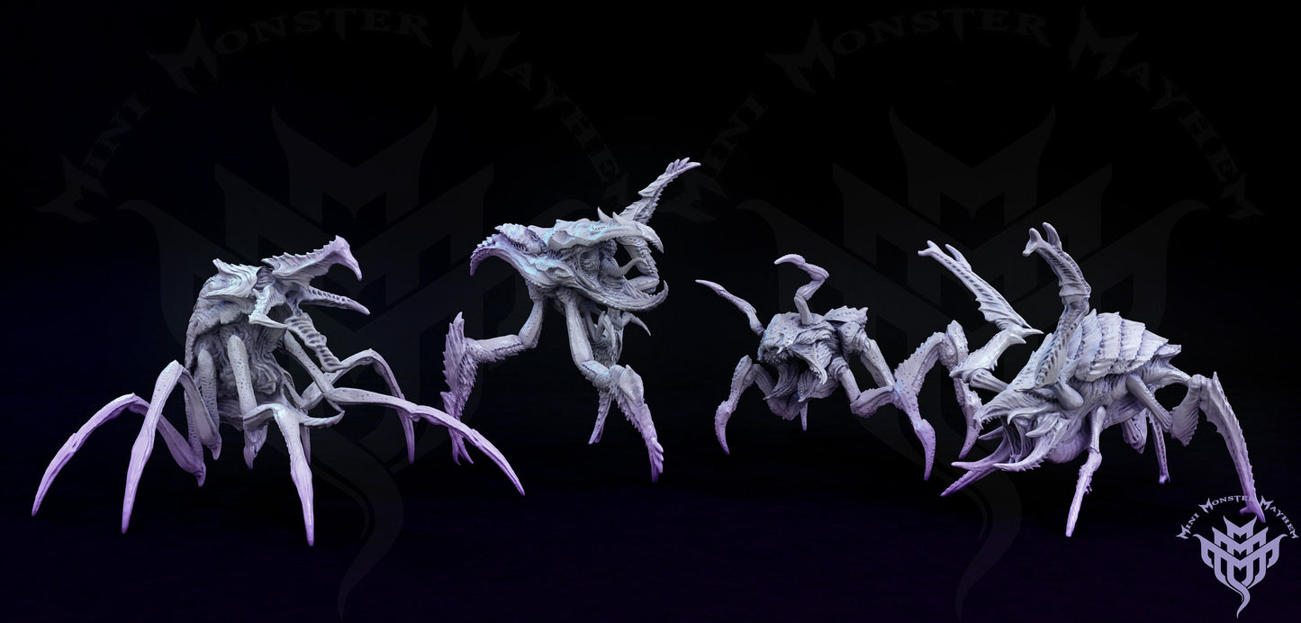 Crazed Arthro (4 Variants)