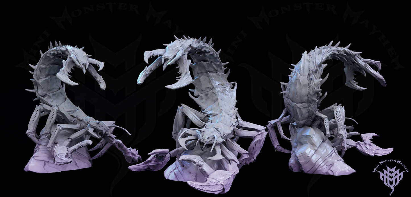 Death Stalker Scorpion and Rhino Brute