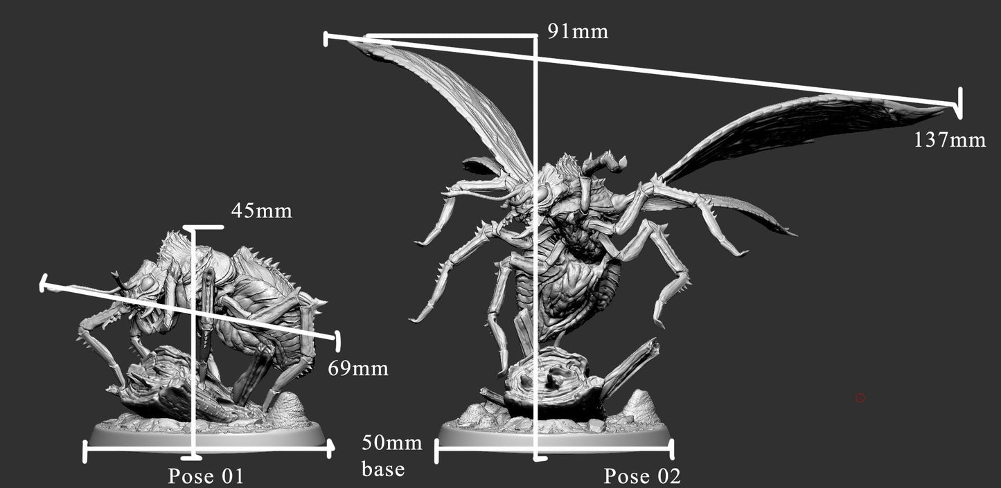 Goliath Ant