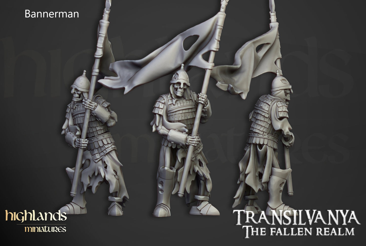Skeleton Warriors / Undead knights