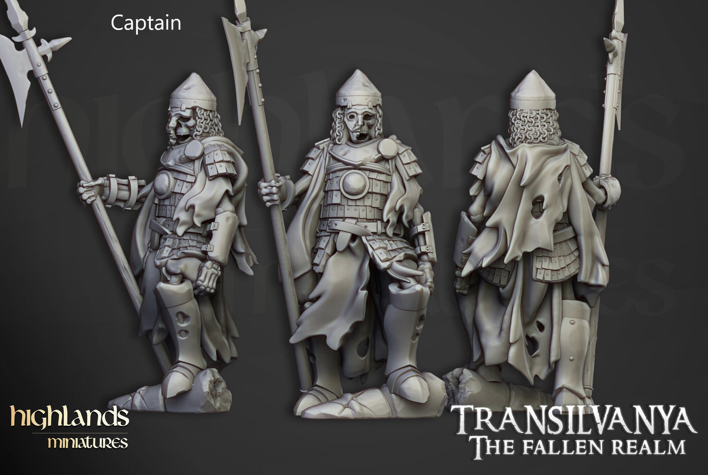Skeleton Warriors / Undead knights