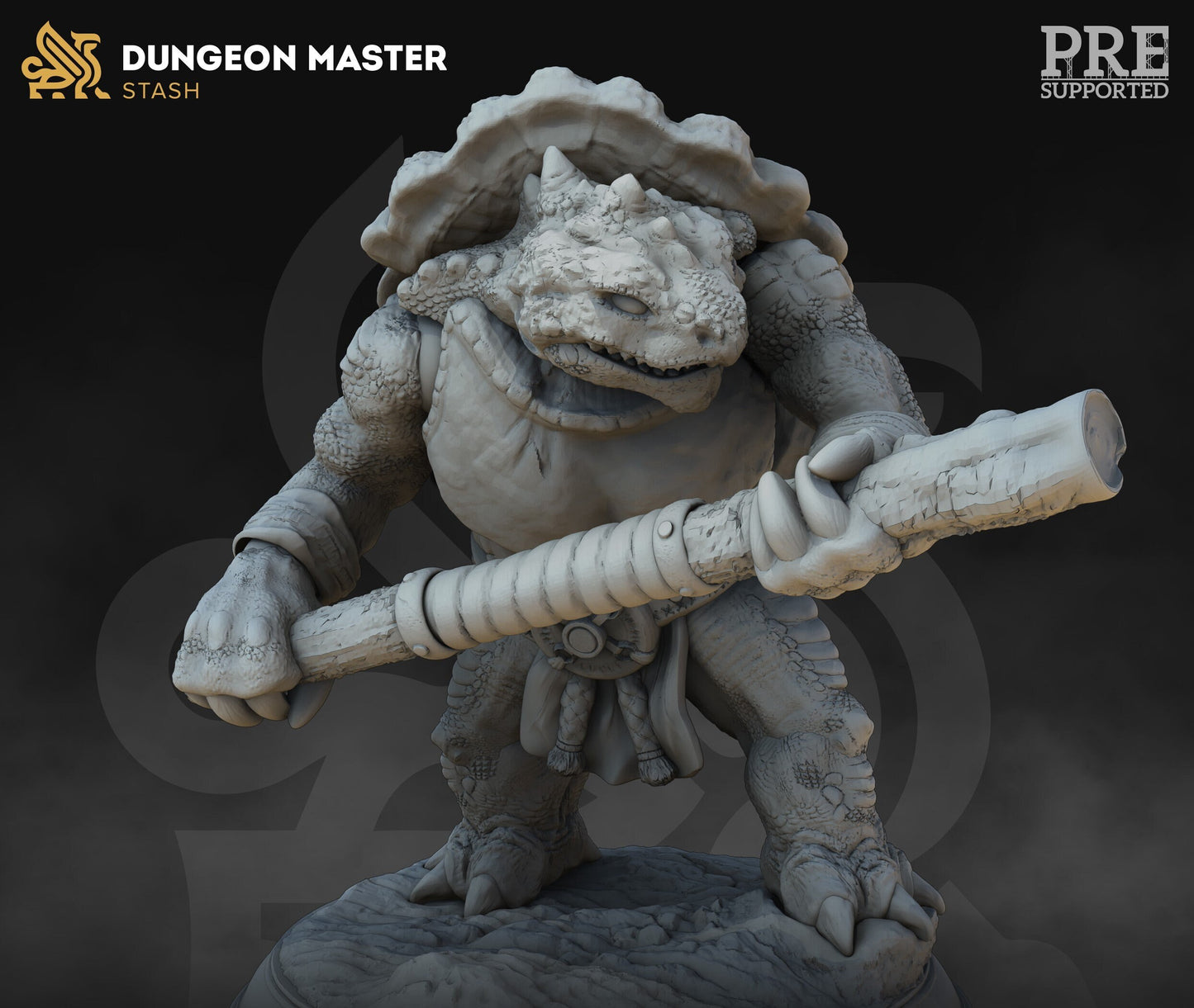Dawn Shell the Turtlefolk Monk
