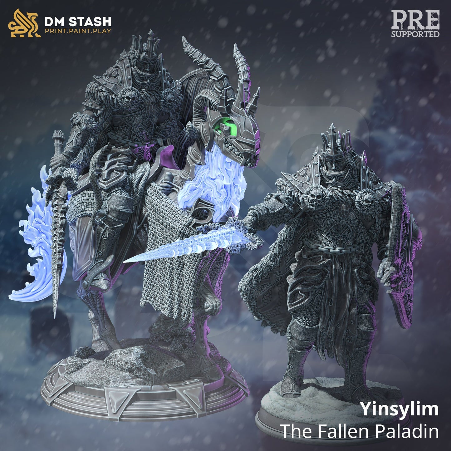 Yinsylim the Fallen Paladin