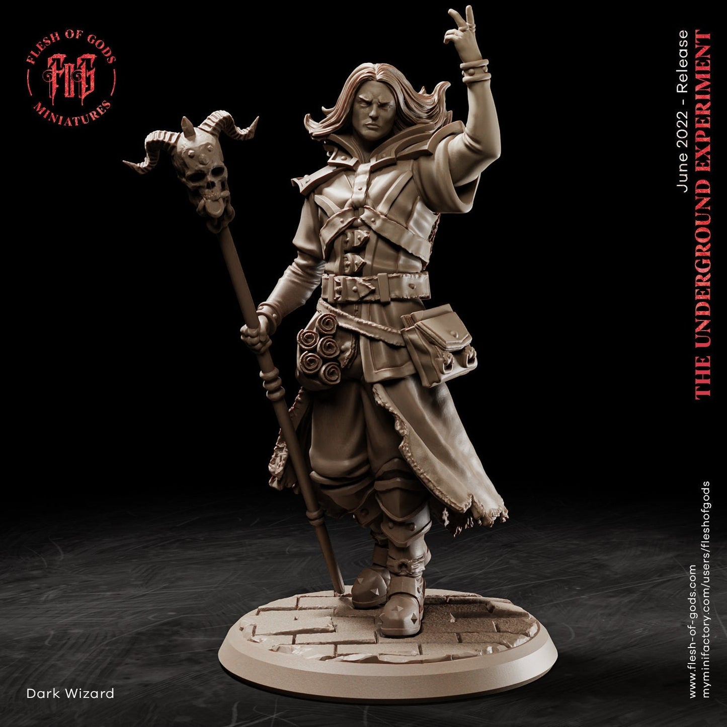 Dark Wizard
