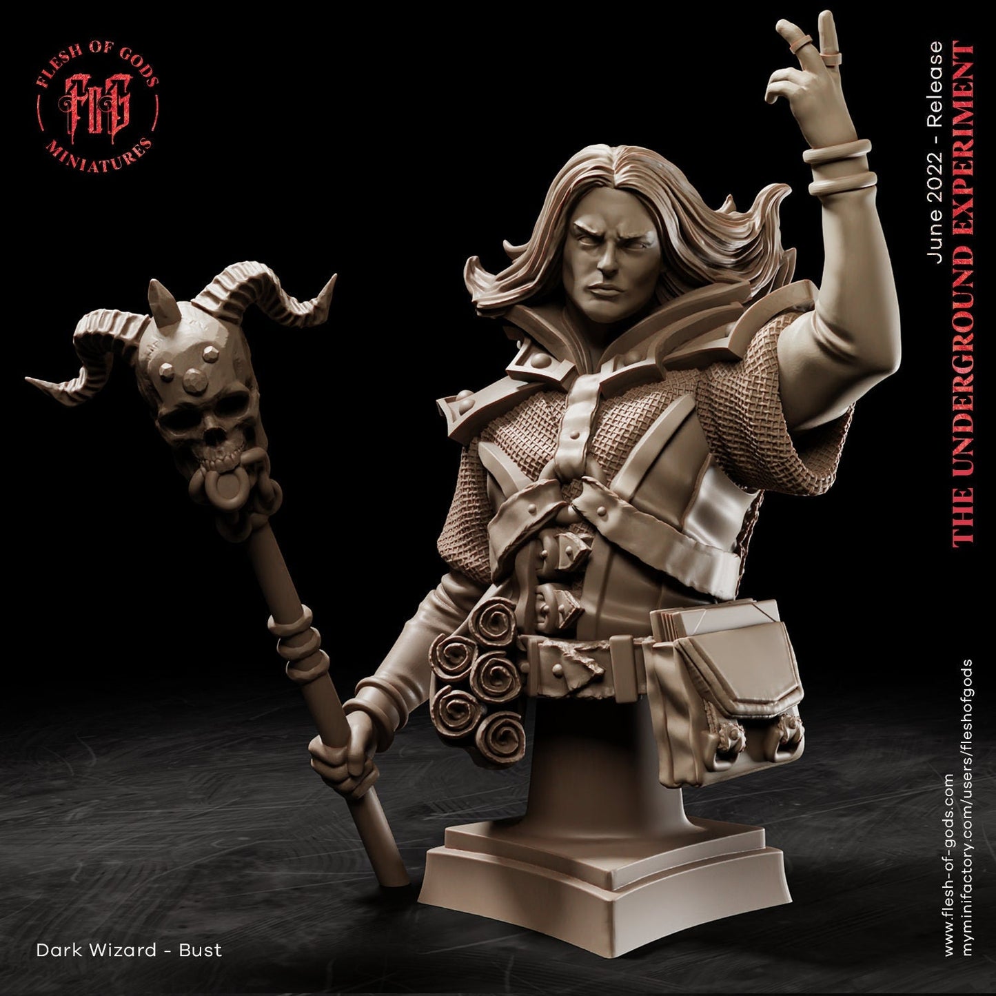 Dark Wizard | Bust |