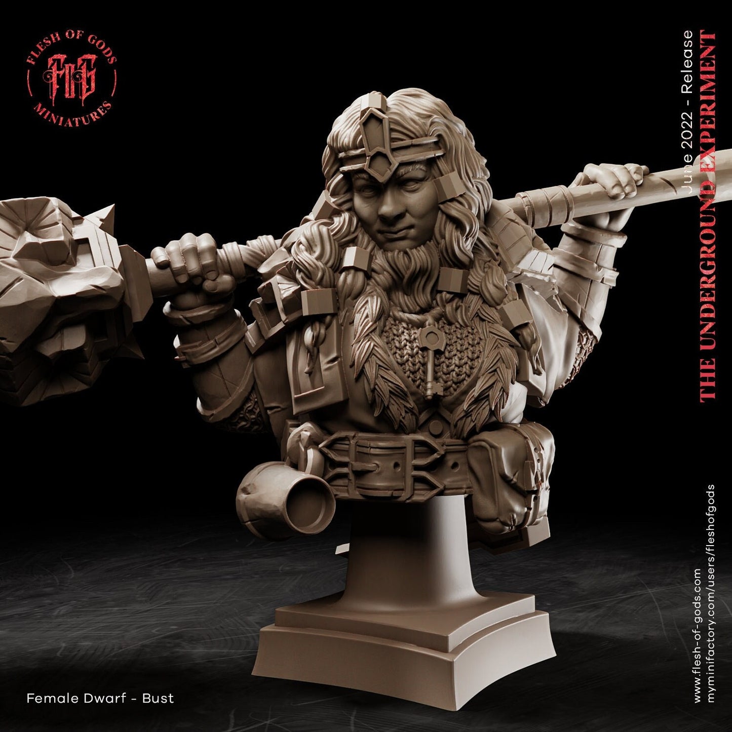 Female Dwarf | Bust |