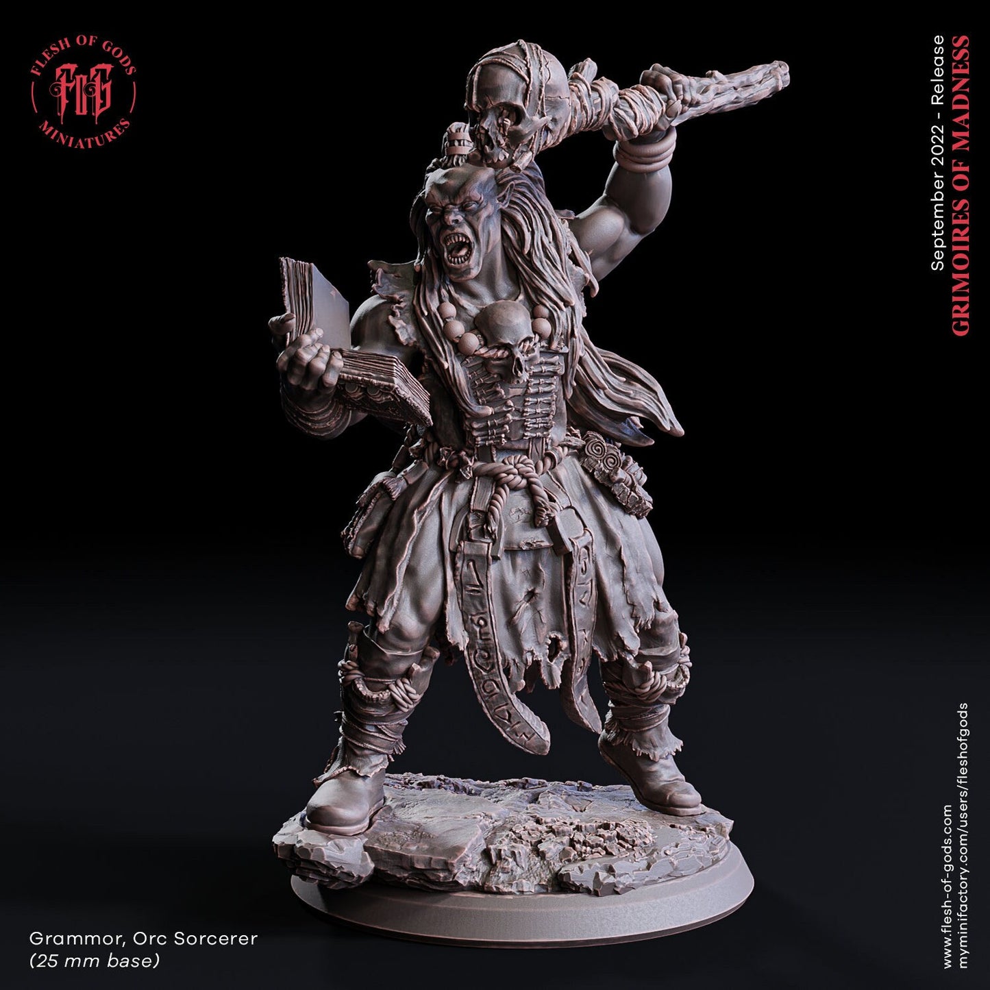 Grammor Orc Sorcerer