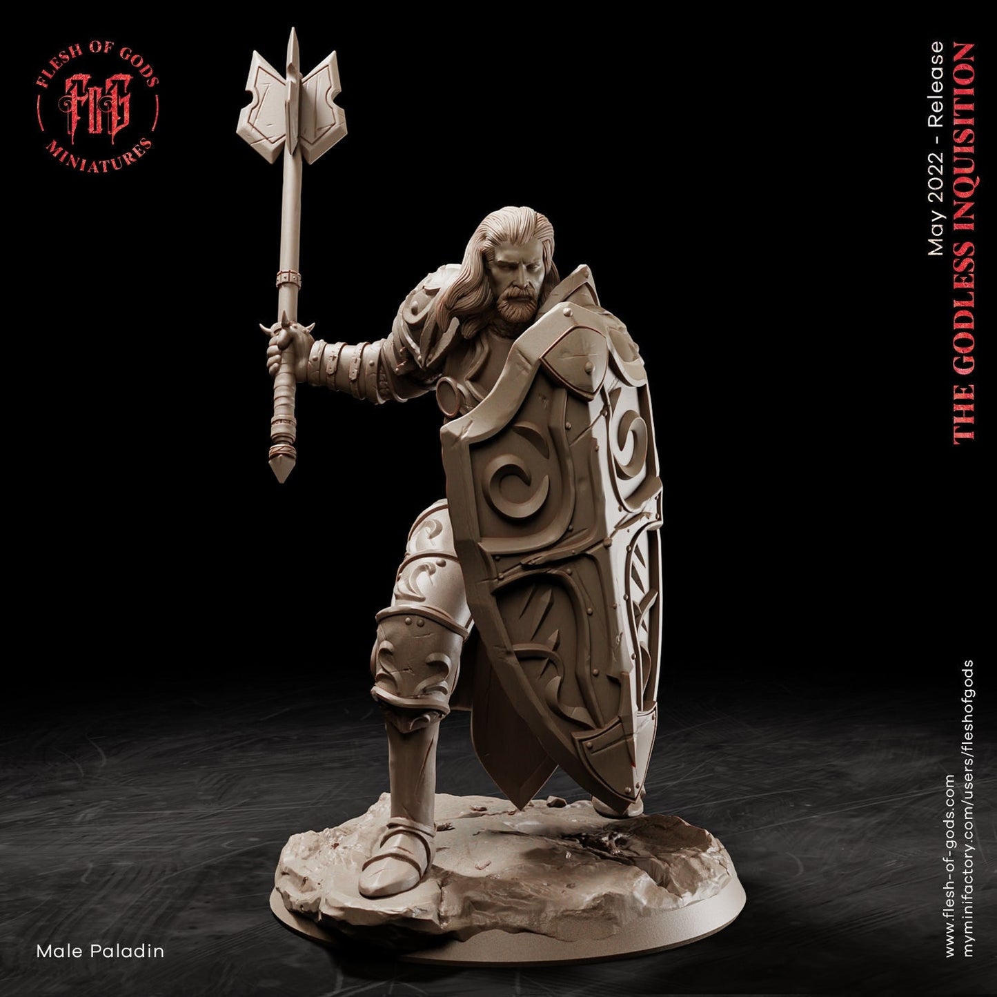 Male Paladin