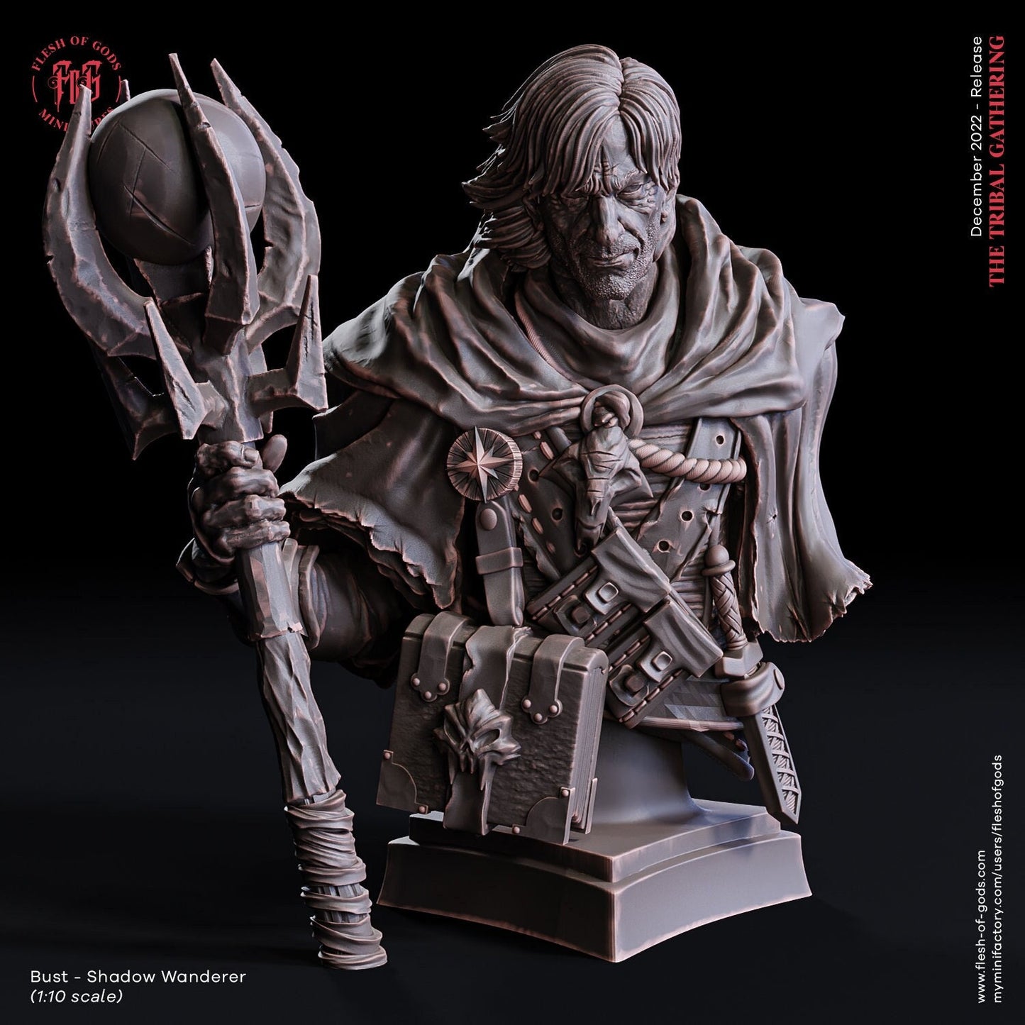 Shadow Wanderer | Bust |