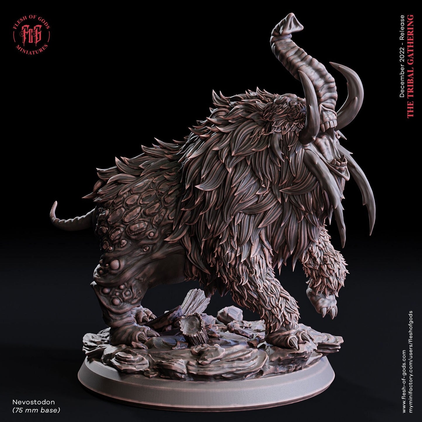 Nevostodon