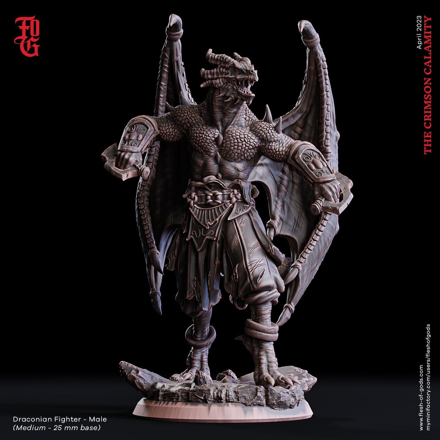 Male Draconian Fighter