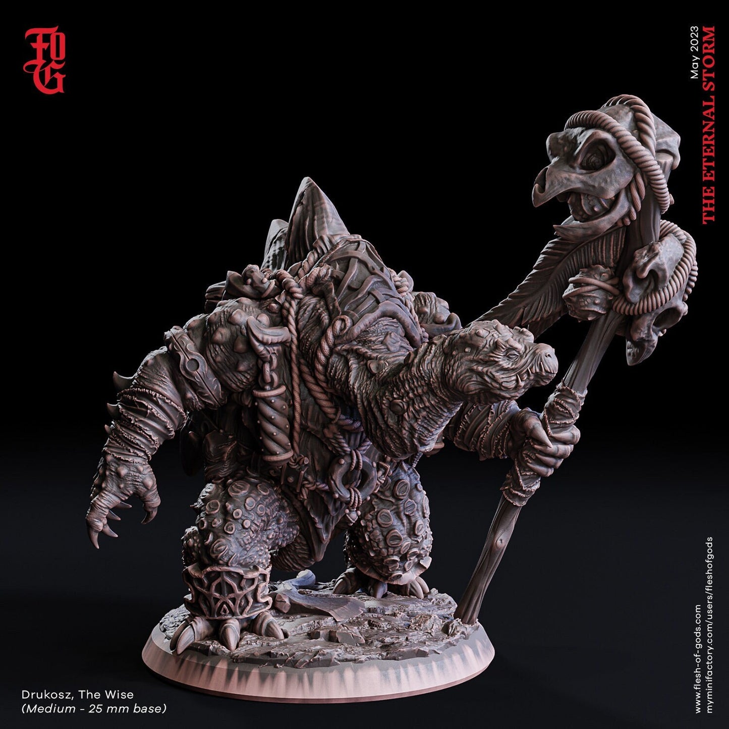 Drukosz the Wise, Tortle Druid