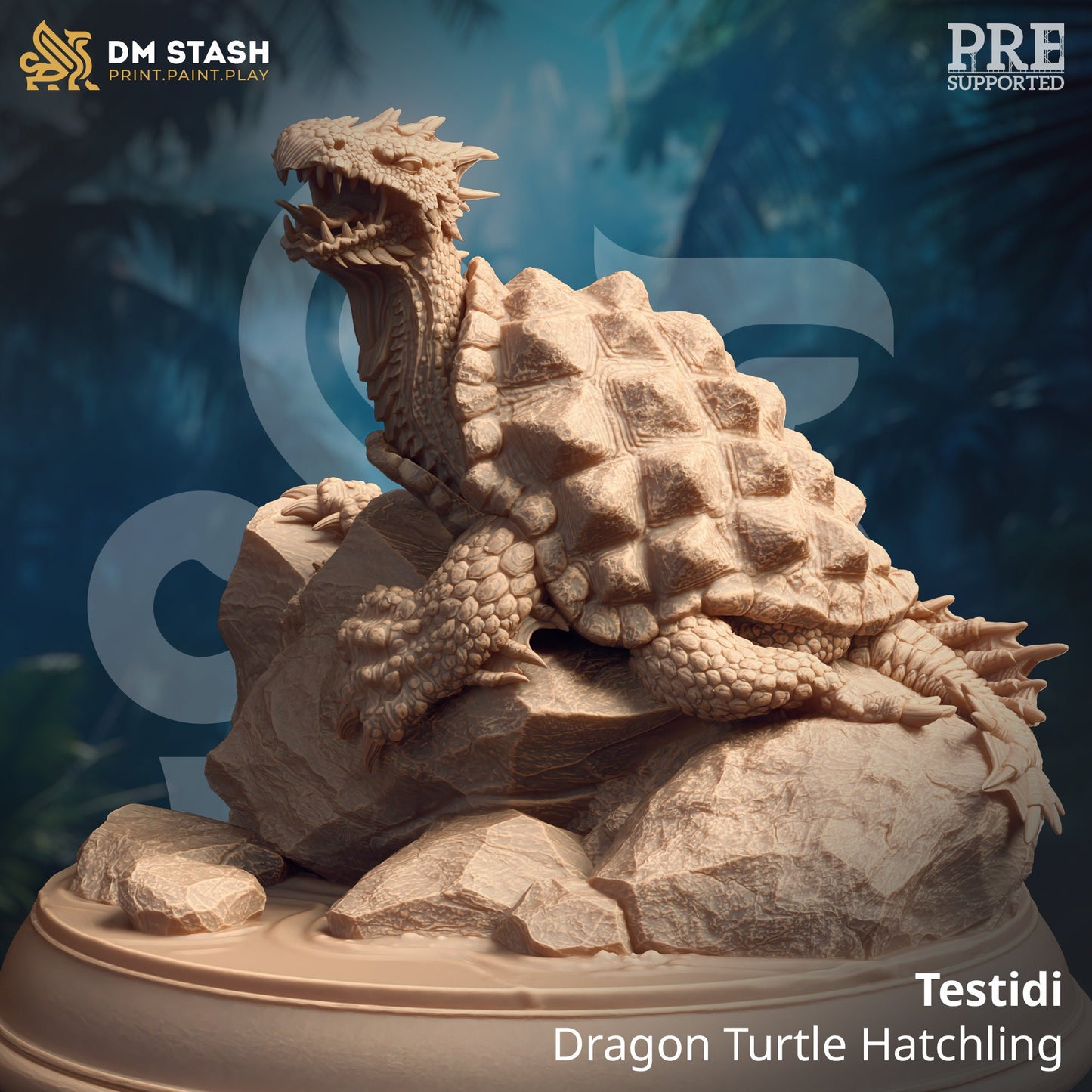 Testidi, Dragon Turtle Hatchling