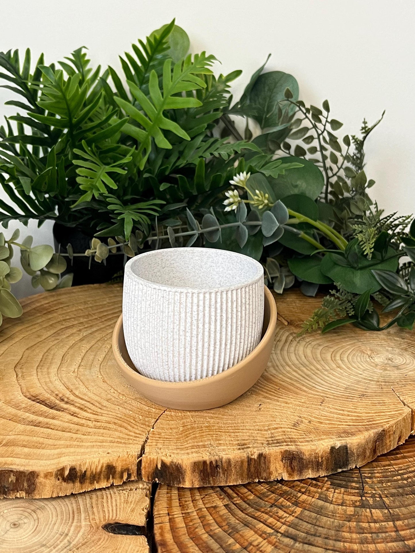 Eero Planter | Eco friendly Planter | 12 Colours | Renter Friendly