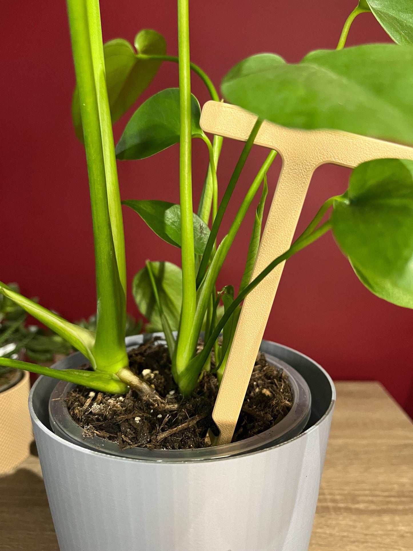 Soil Checking Probe | Soil Moisture Checker