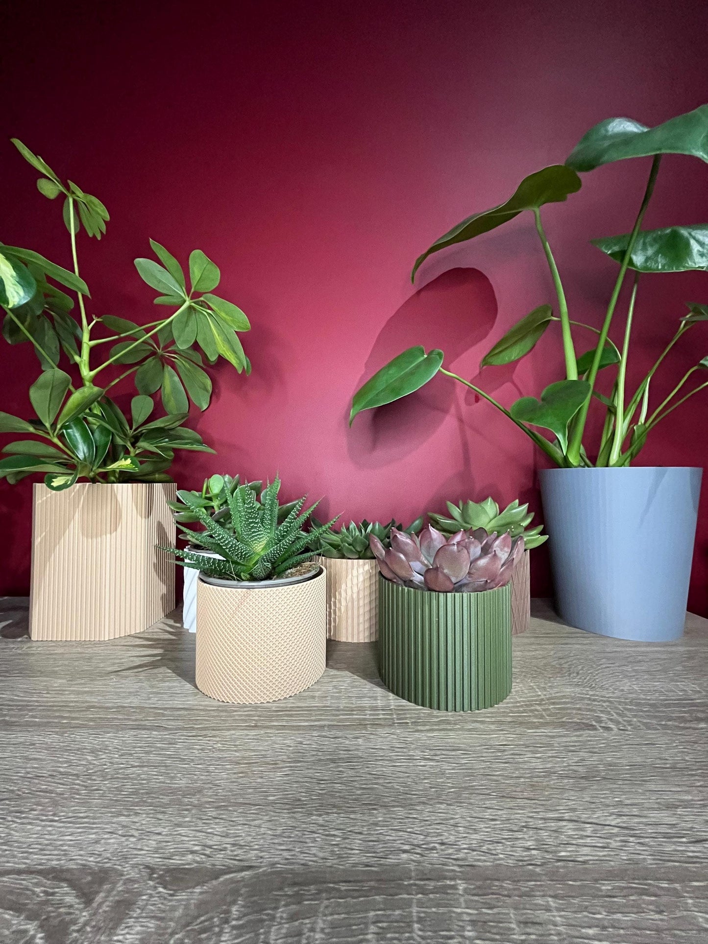 The Waffle, small succulent plant pot | Eco friendly Planter | 12 Colours