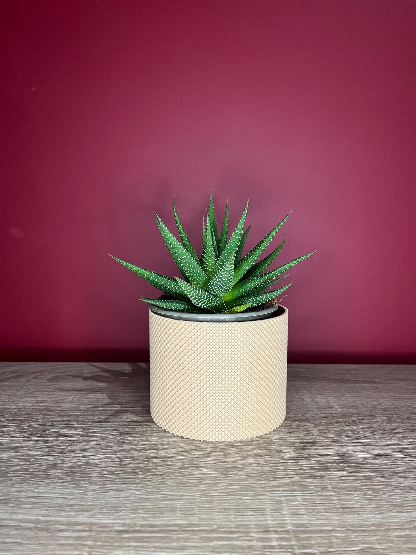 The Waffle, small succulent plant pot | Eco friendly Planter | 12 Colours