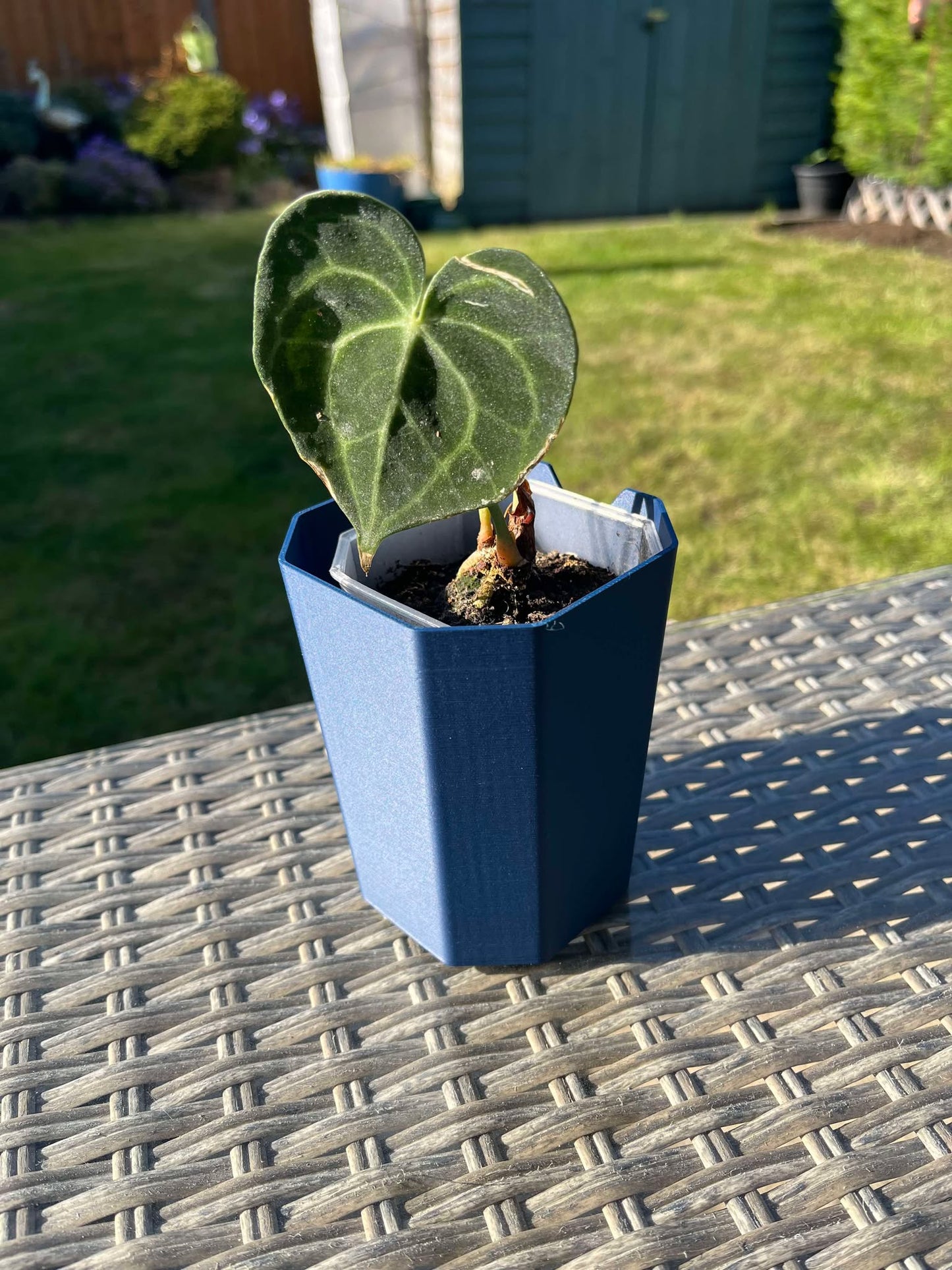 The Bill - Aroid Tower Pot Covers | Eco friendly Planter | 14 Colours