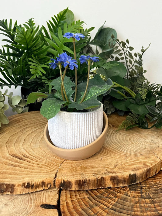 Eero Planter | Eco friendly Planter | 12 Colours | Renter Friendly