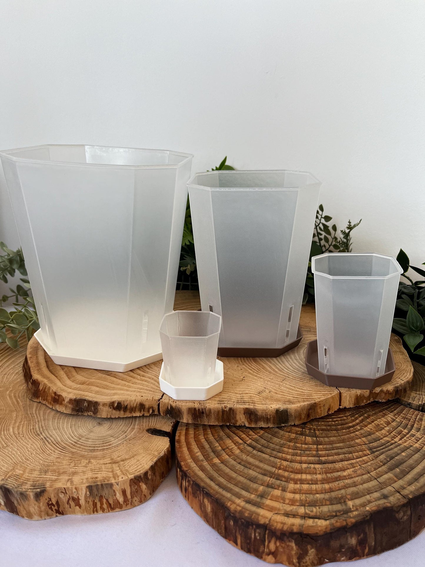Hexagonal Drainage Tray | Eco friendly | 12 Colours