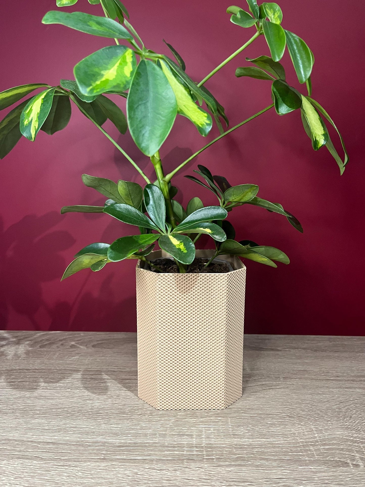Waffle Bill, Aroid Tower Pot Covers | Eco friendly Planter | 12 Colours