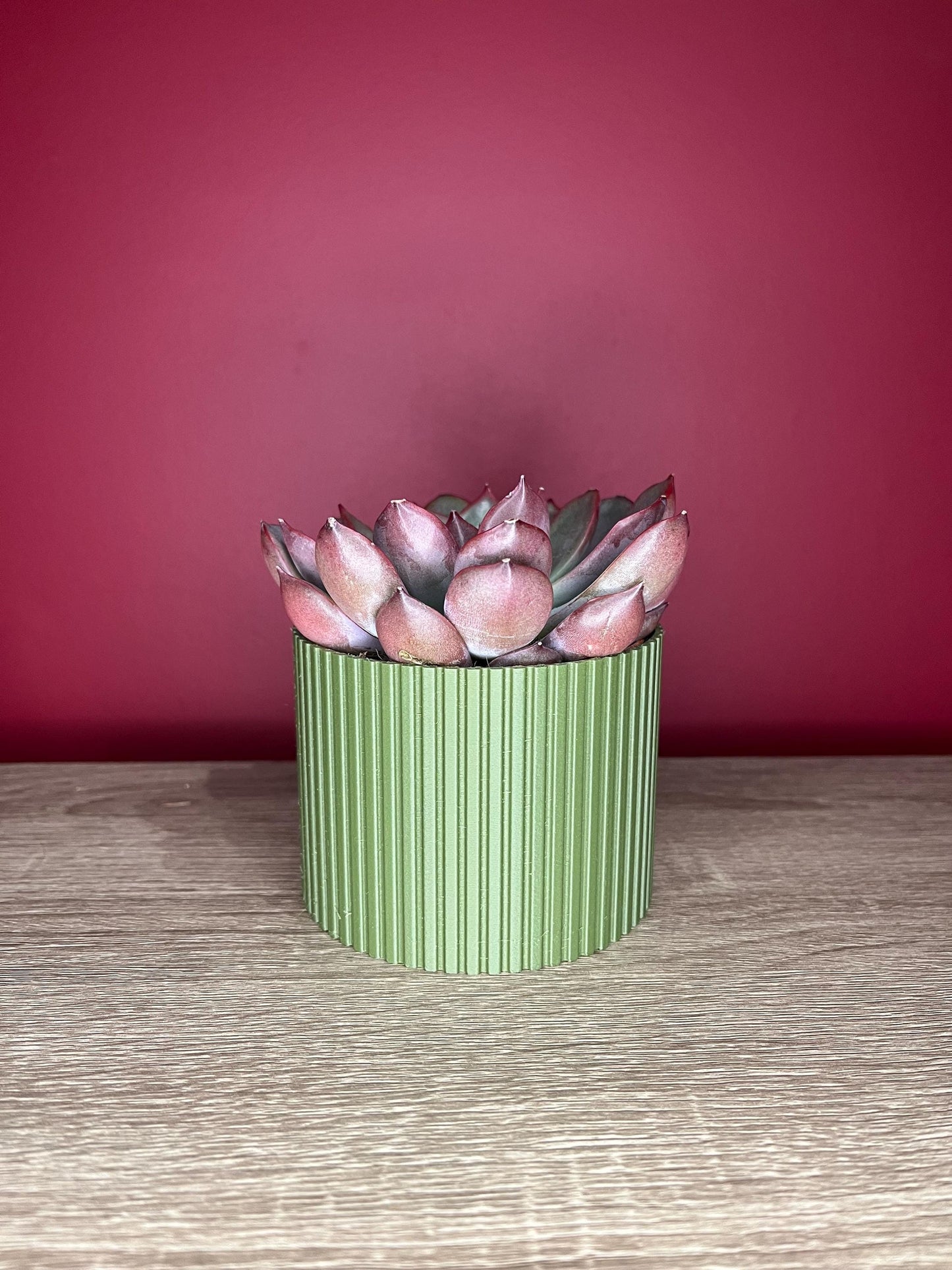 The Slats, small succulent plant pot | Eco friendly Planter | 12 Colours