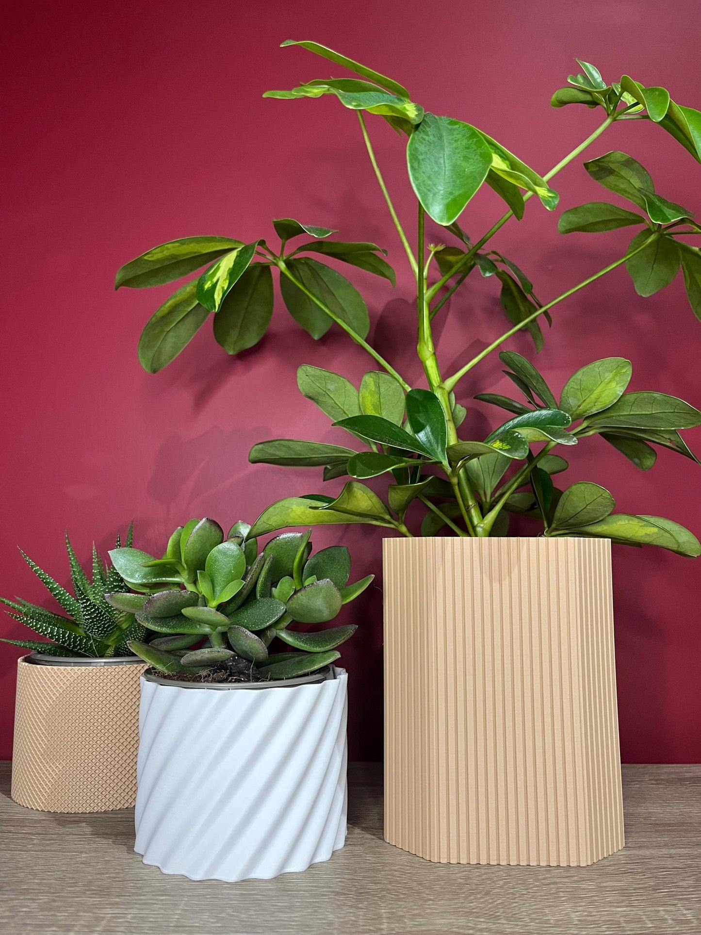 Slatted Bill, Aroid Tower Pot Covers | Eco friendly Planter | 12 Colours