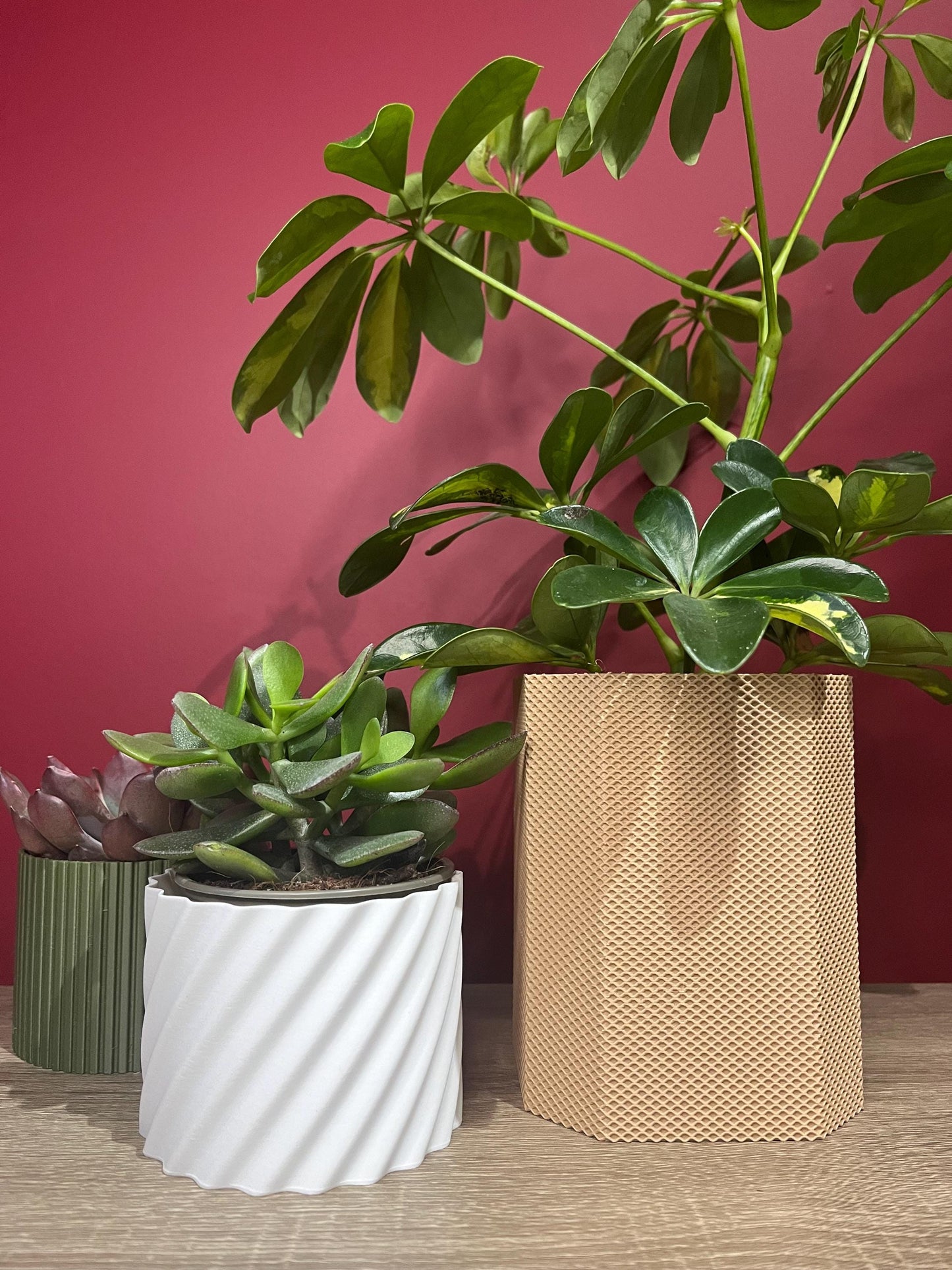 Waffle Bill, Aroid Tower Pot Covers | Eco friendly Planter | 12 Colours